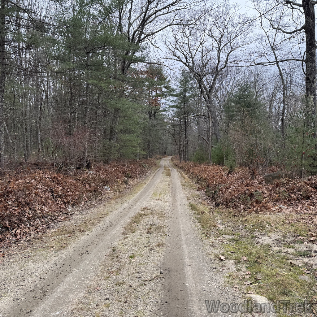 2025-11-23_123642_00