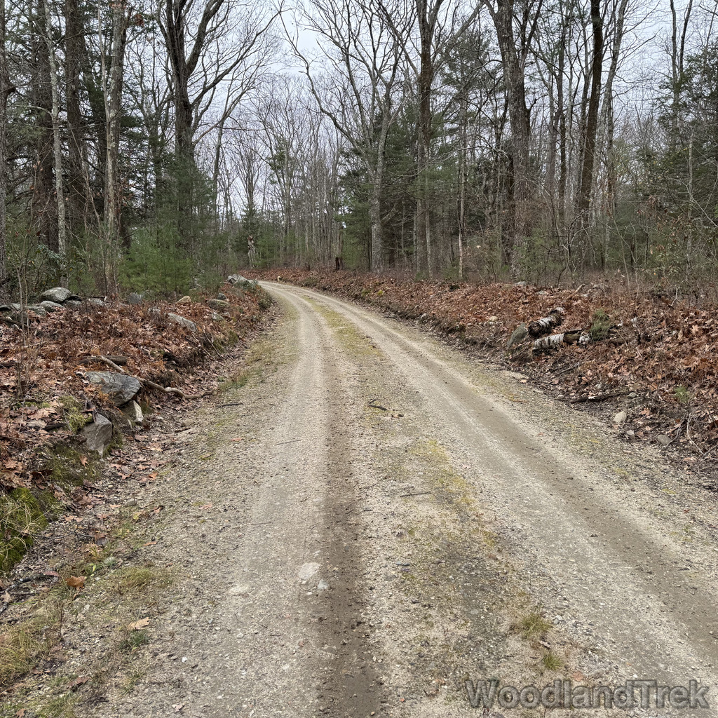 2025-11-23_123648_00