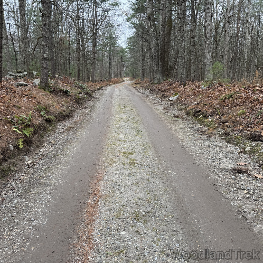 2025-11-23_123947_00