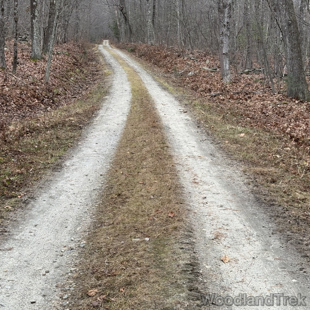 2025-11-23_124529_00