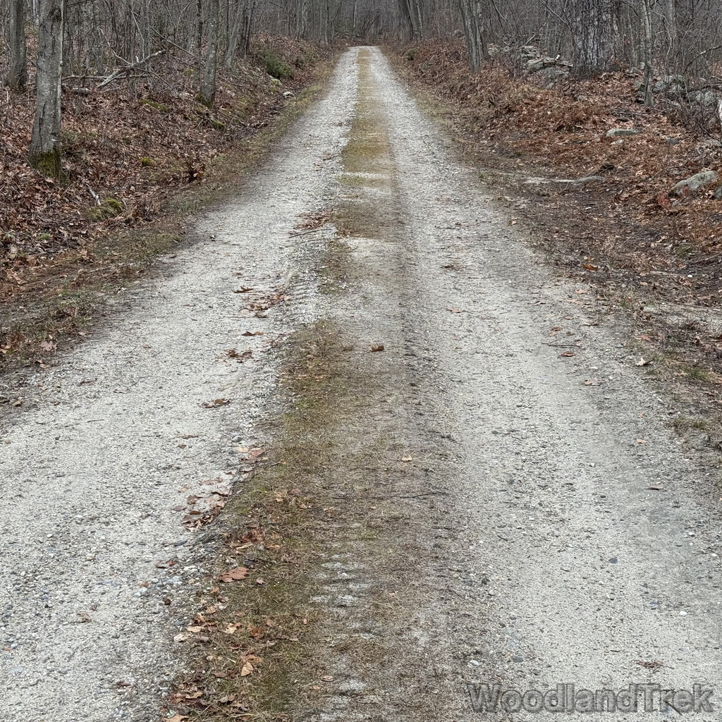 2025-11-23_124848_00