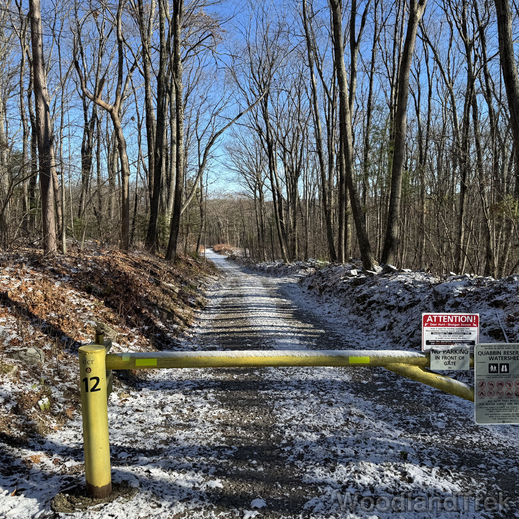 2025-11-29_095711_00