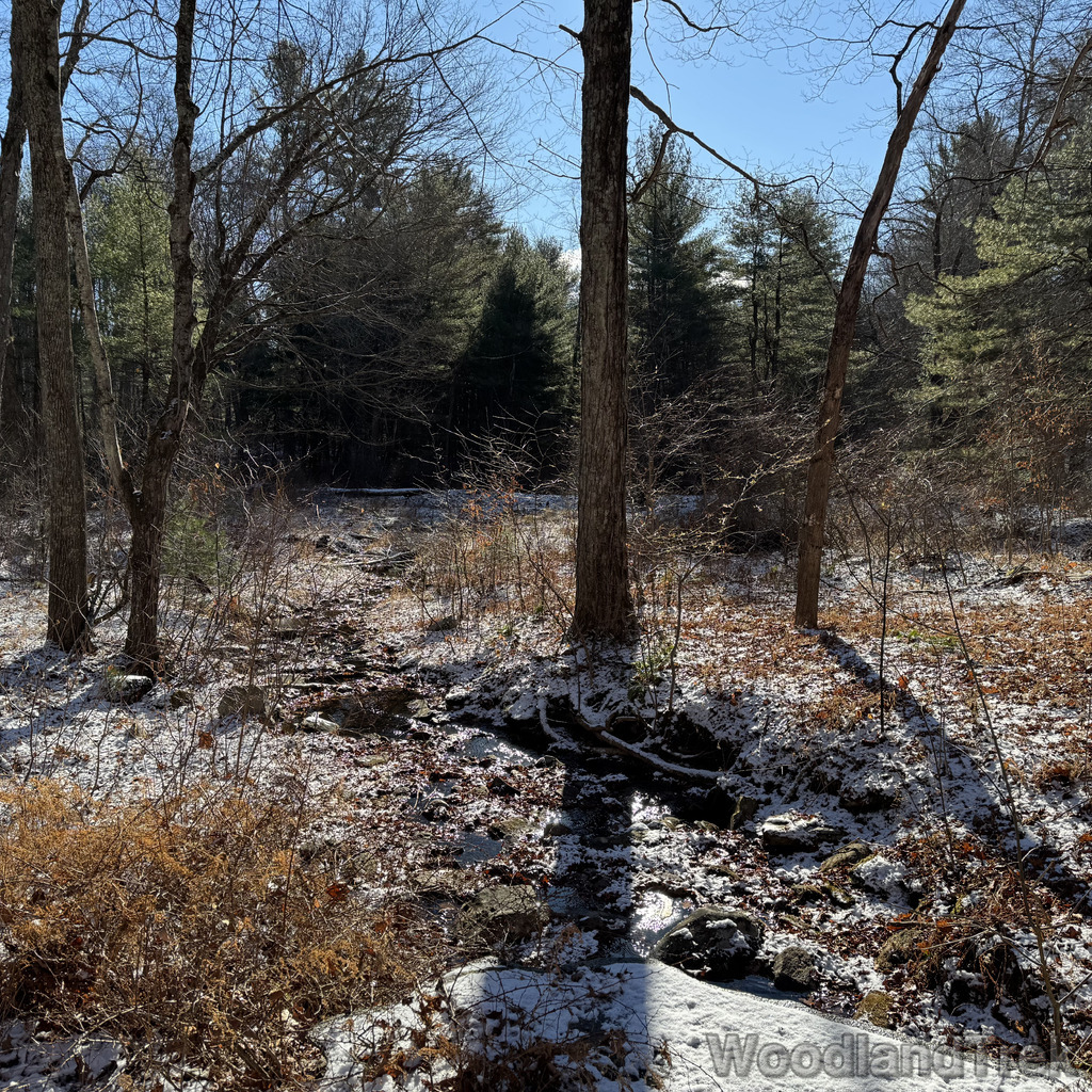 2025-11-29_100605_00