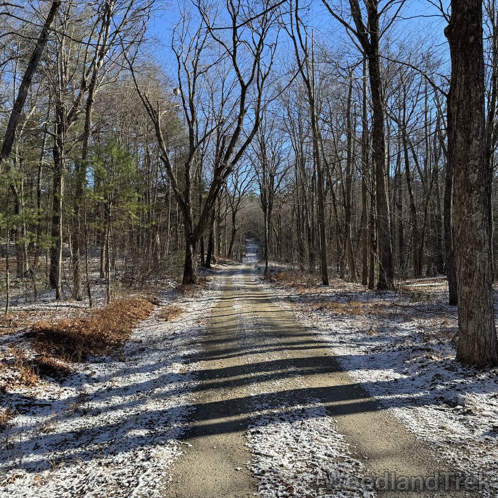 2025-11-29_100618_00