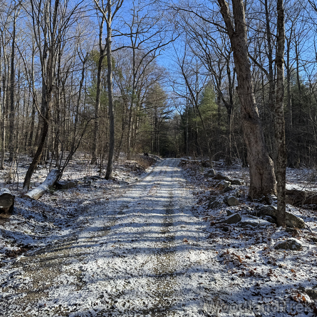 2025-11-29_101028_00