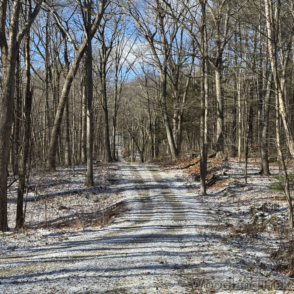 2025-11-29_101037_00