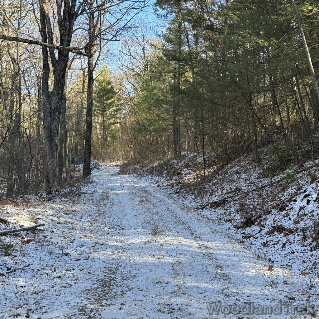 2025-11-29_101316_00