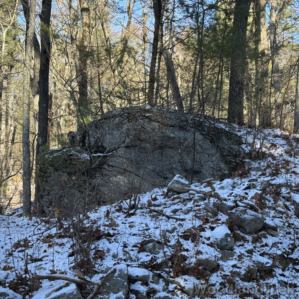 2025-11-29_101434_00