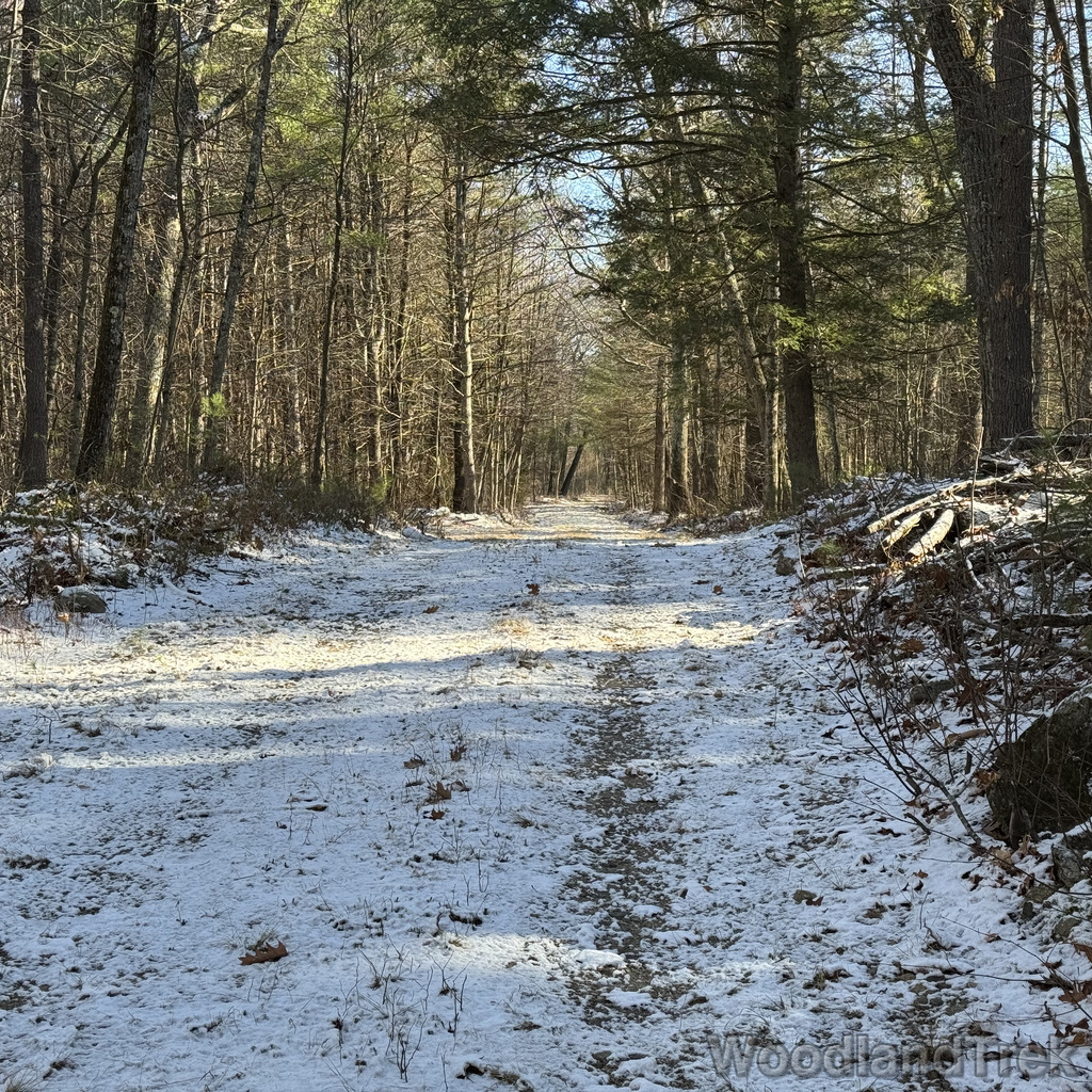 2025-11-29_101649_00