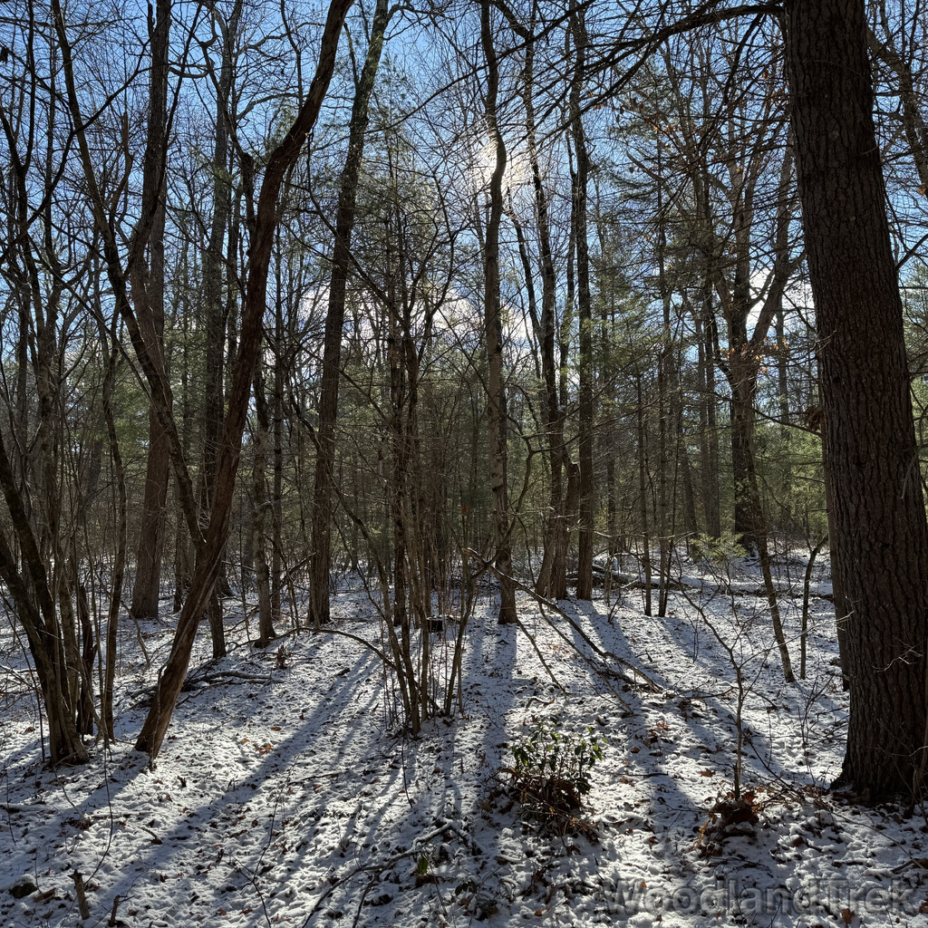 2025-11-29_101852_00