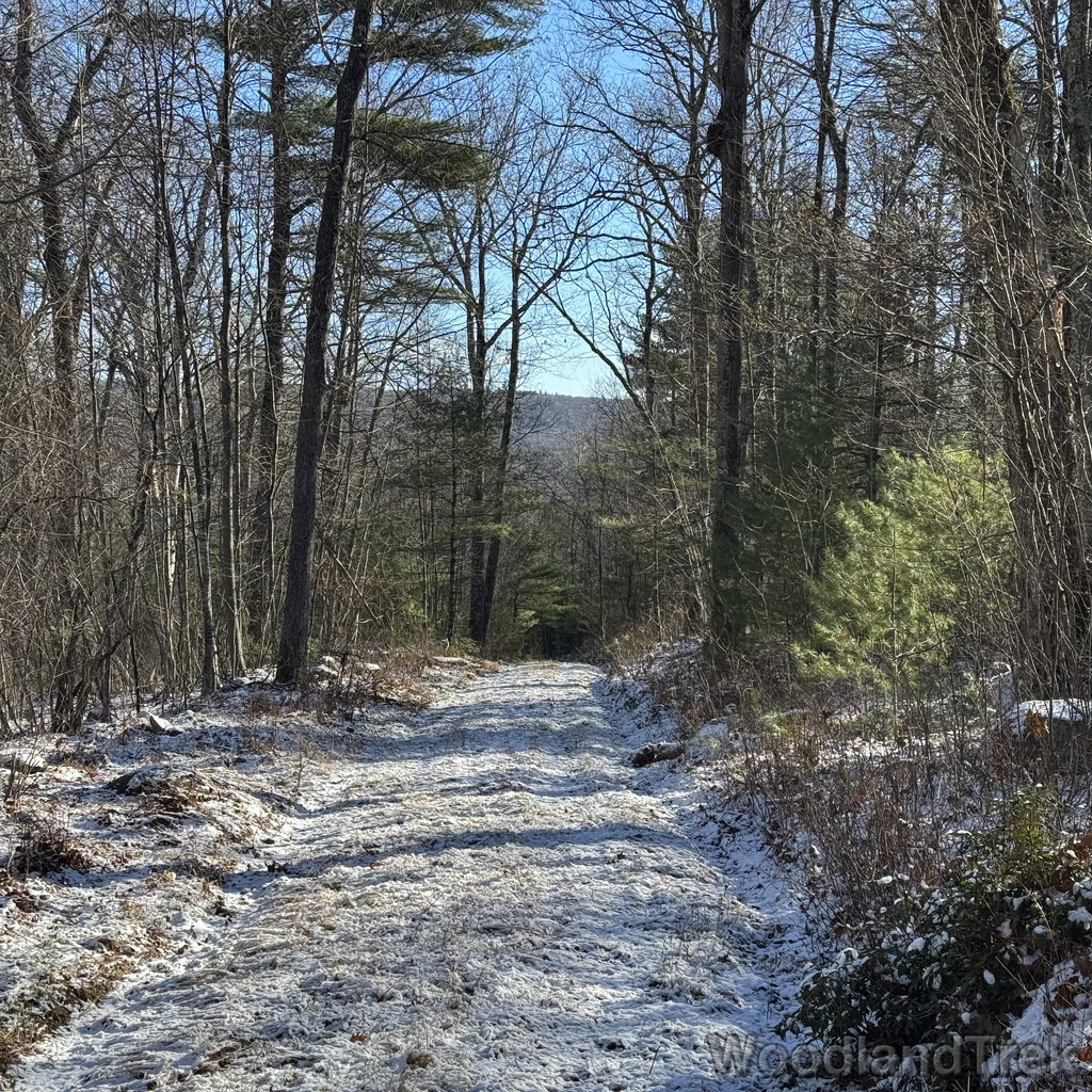 2025-11-29_102317_00