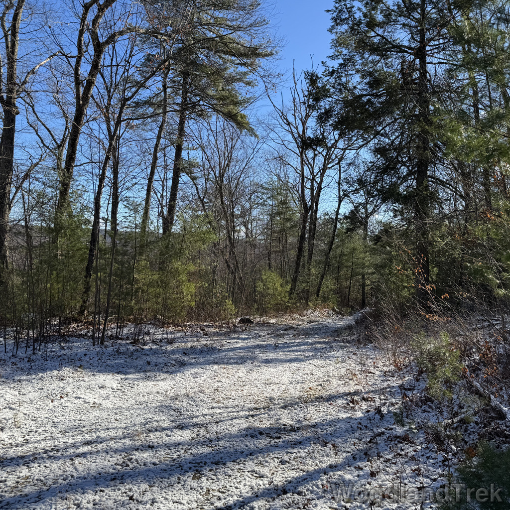 2025-11-29_102646_00