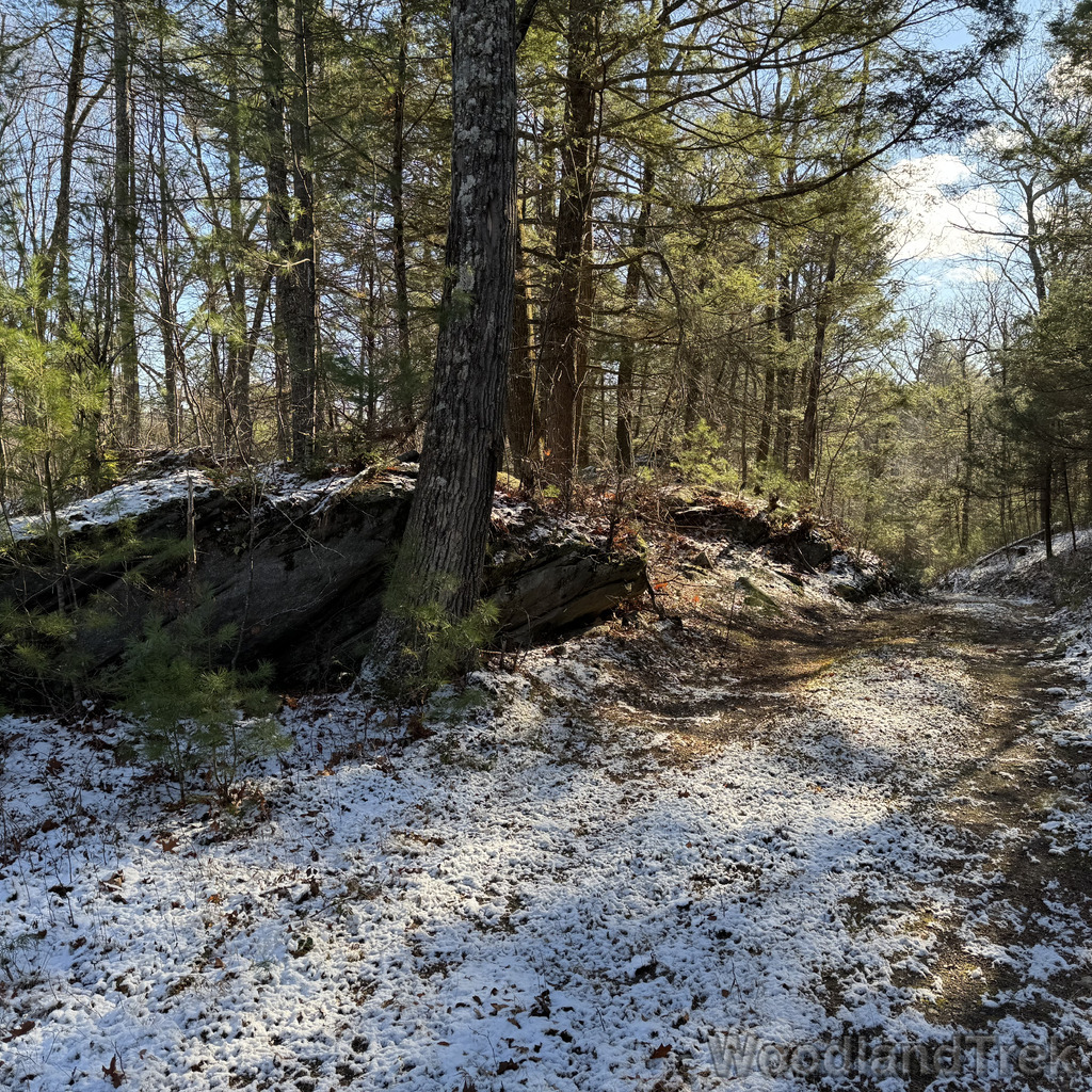 2025-11-29_102847_00