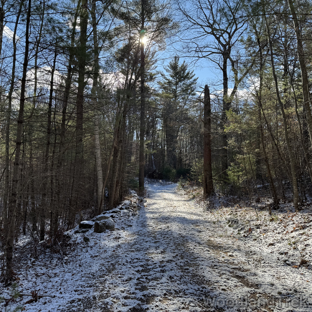 2025-11-29_103046_00