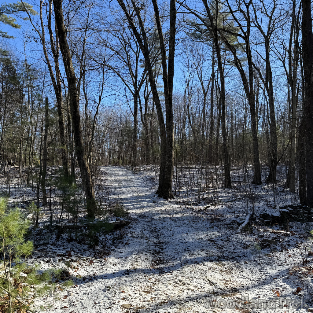 2025-11-29_103212_00