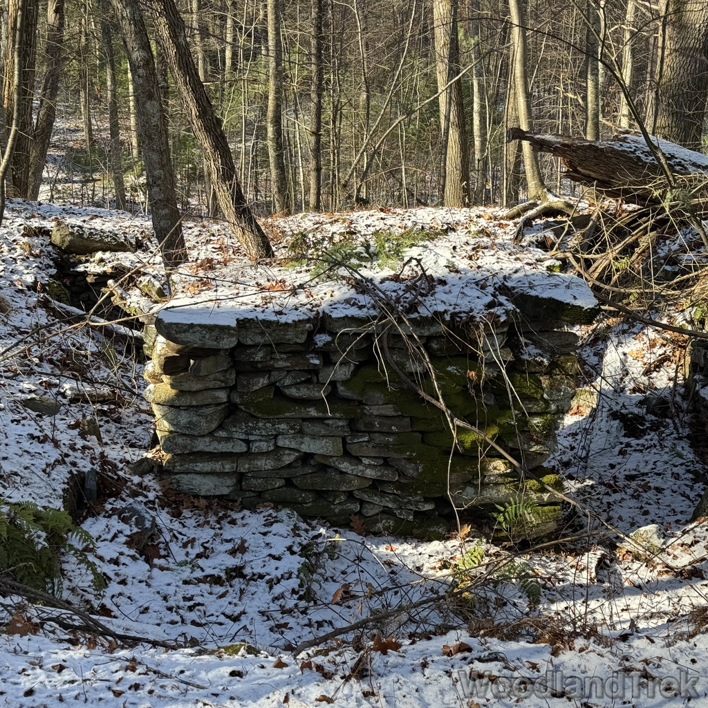 2025-11-29_103454_00