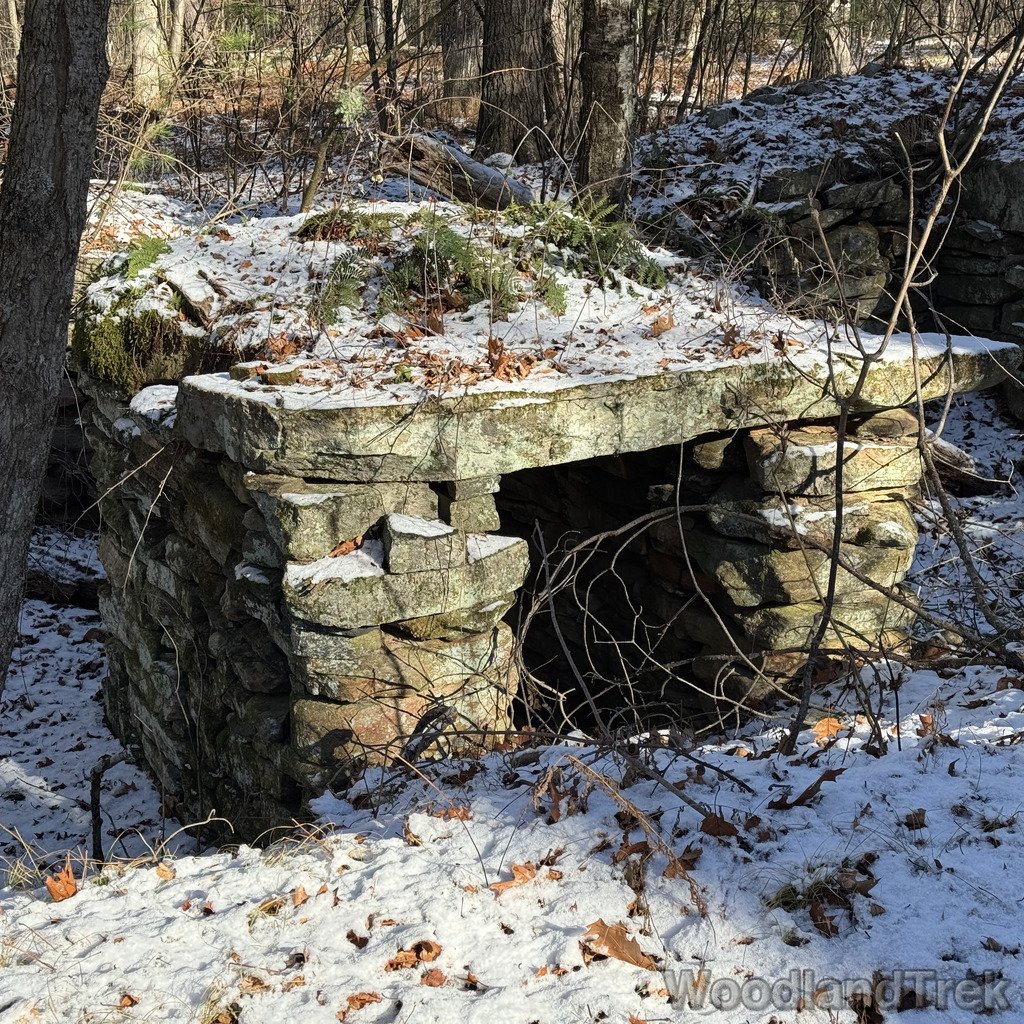 2025-11-29_103533_00