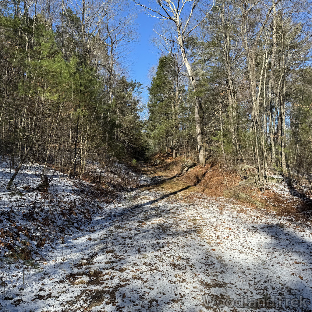 2025-11-29_103738_00