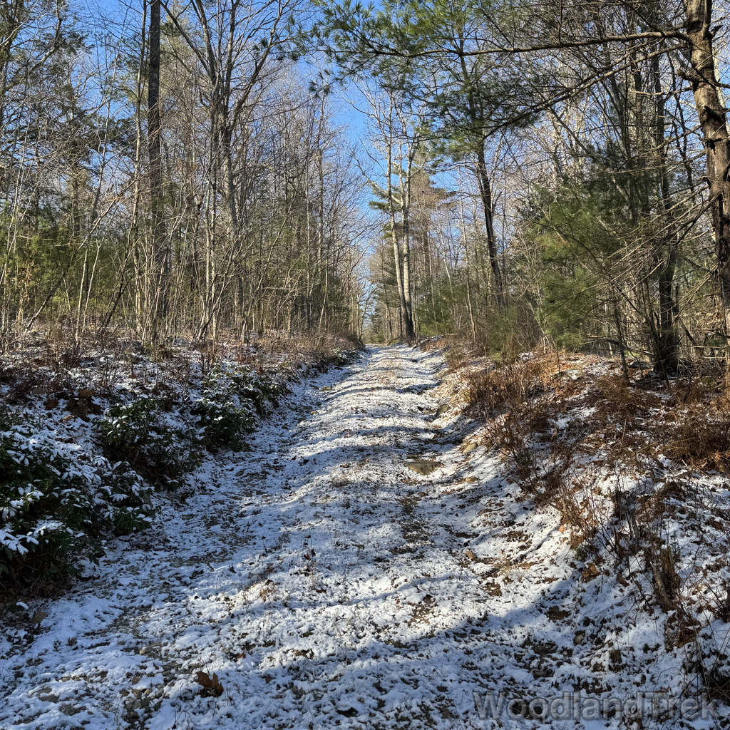 2025-11-29_104237_00