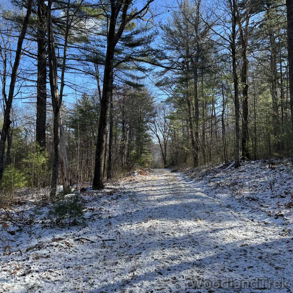 2025-11-29_104822_00