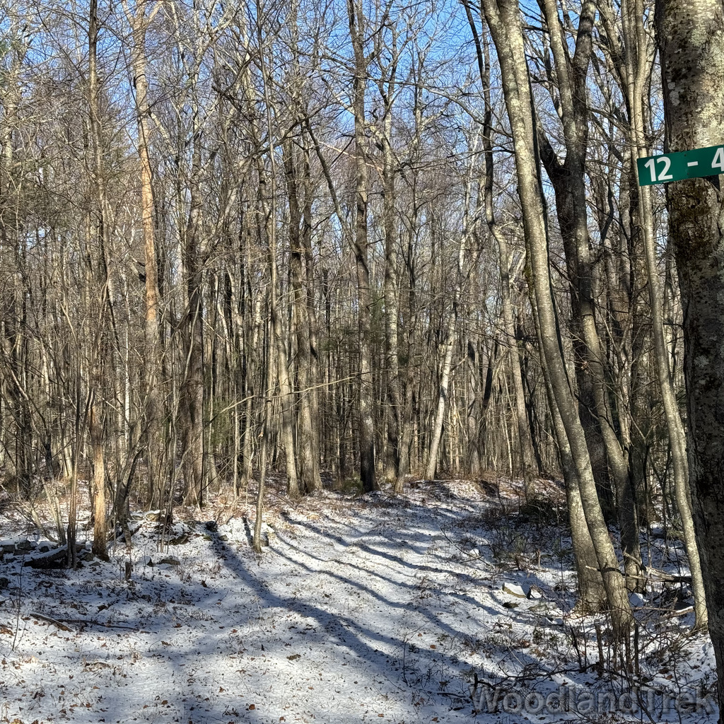 2025-11-29_104830_00