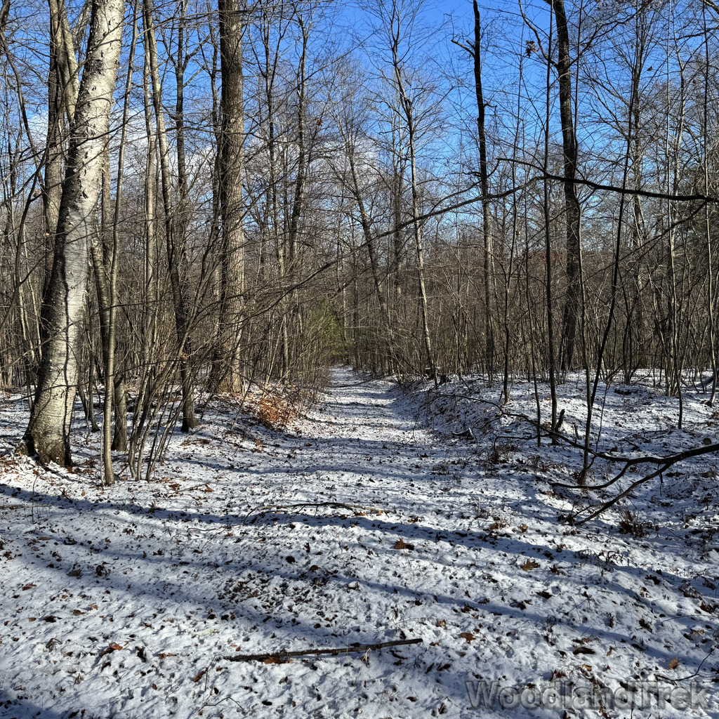 2025-11-29_105031_00