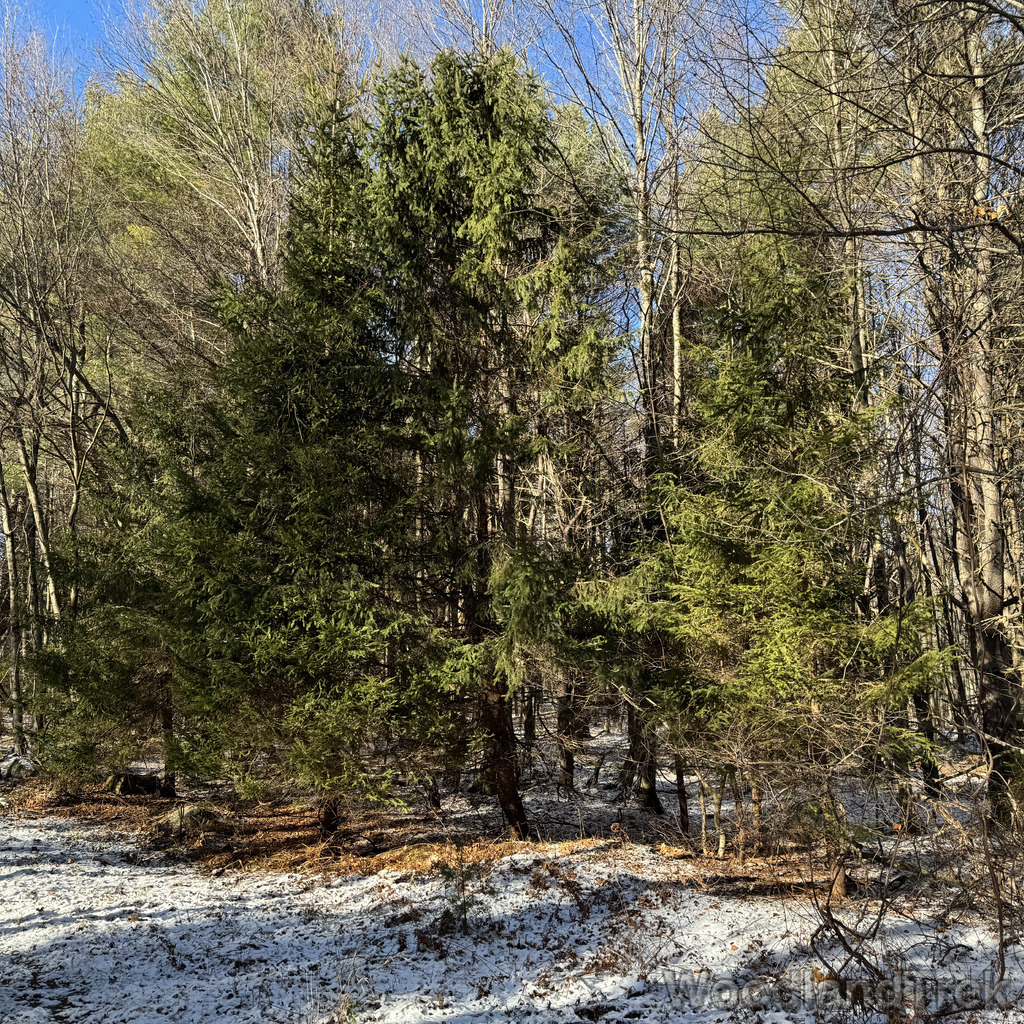 2025-11-29_110958_00