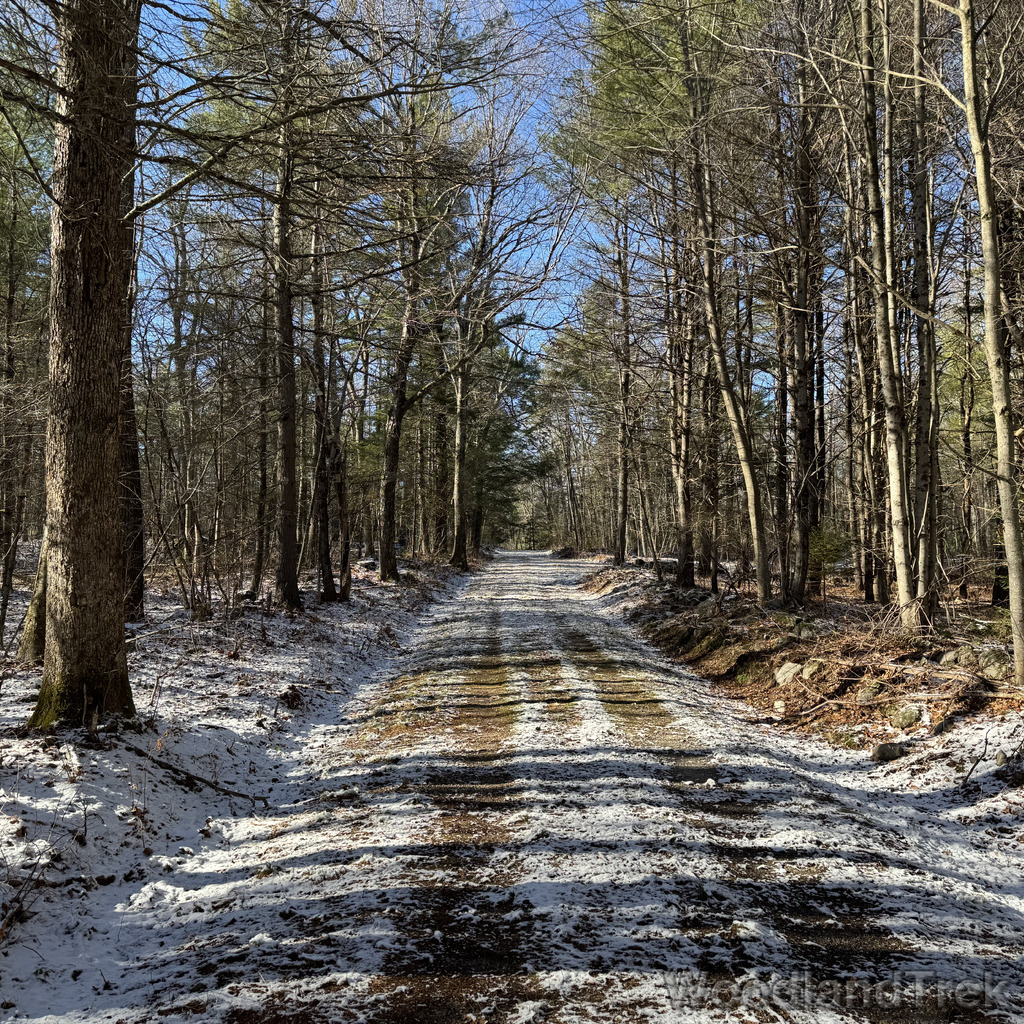 2025-11-29_111046_00