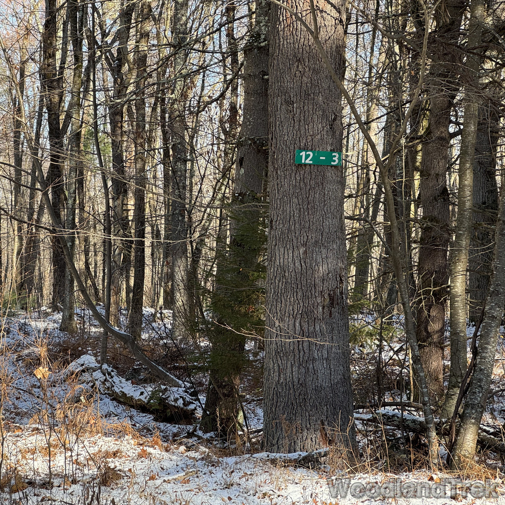 2025-11-29_111631_00