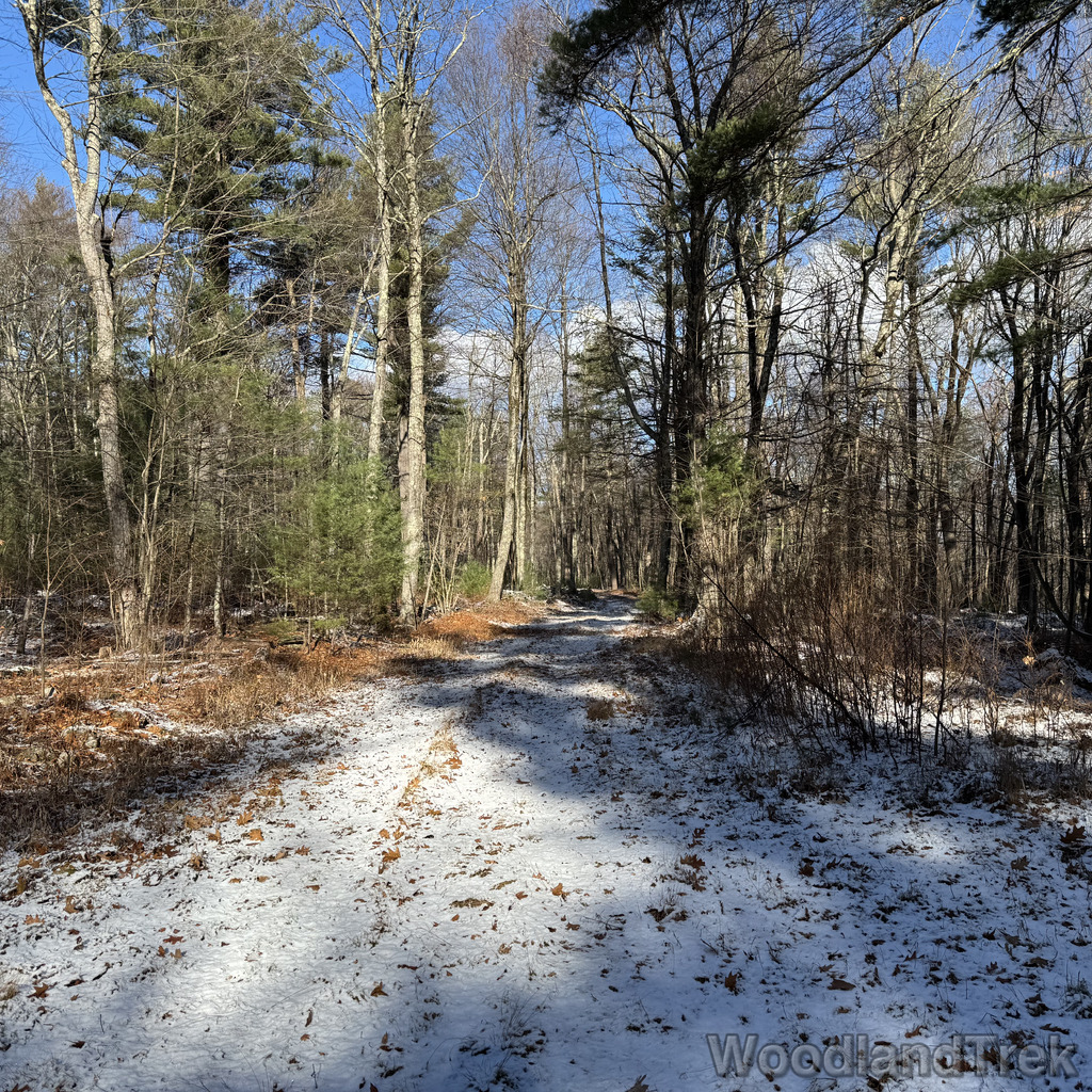 2025-11-29_111635_00