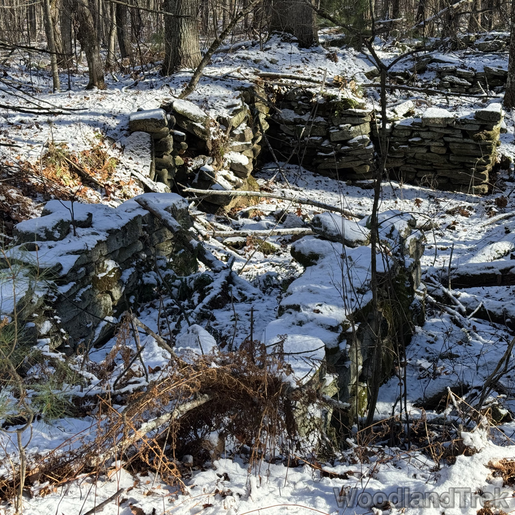 2025-11-29_111800_00