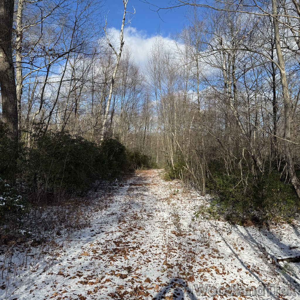 2025-11-29_112826_00