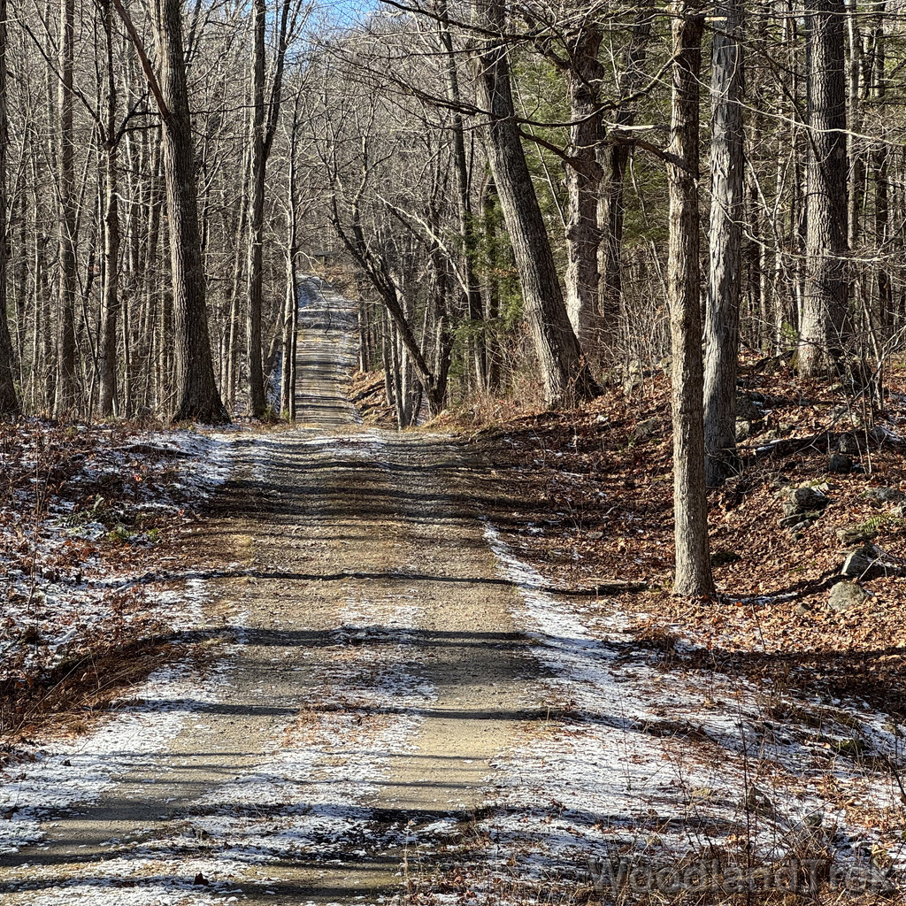 2025-11-29_114815_00