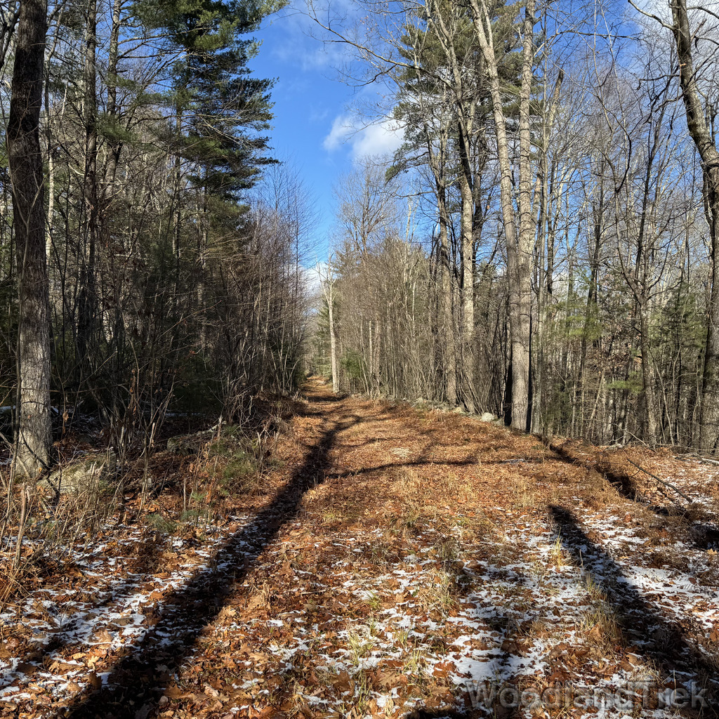 2025-11-29_115958_00