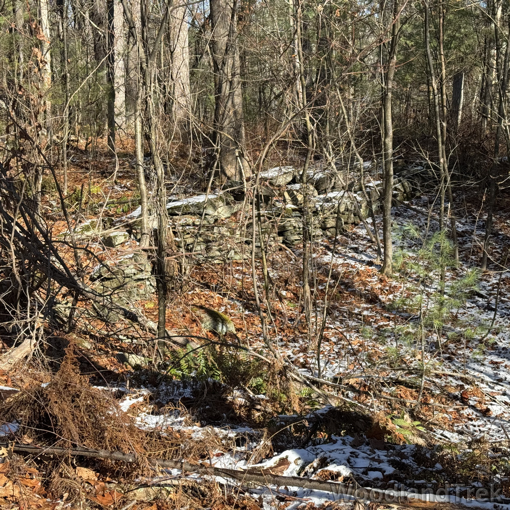 2025-11-29_120140_00