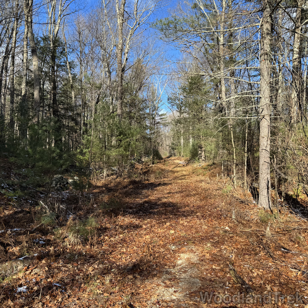 2025-11-29_120143_00