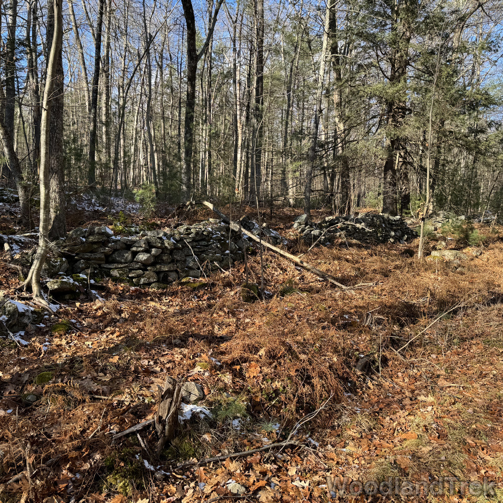 2025-11-29_120214_00