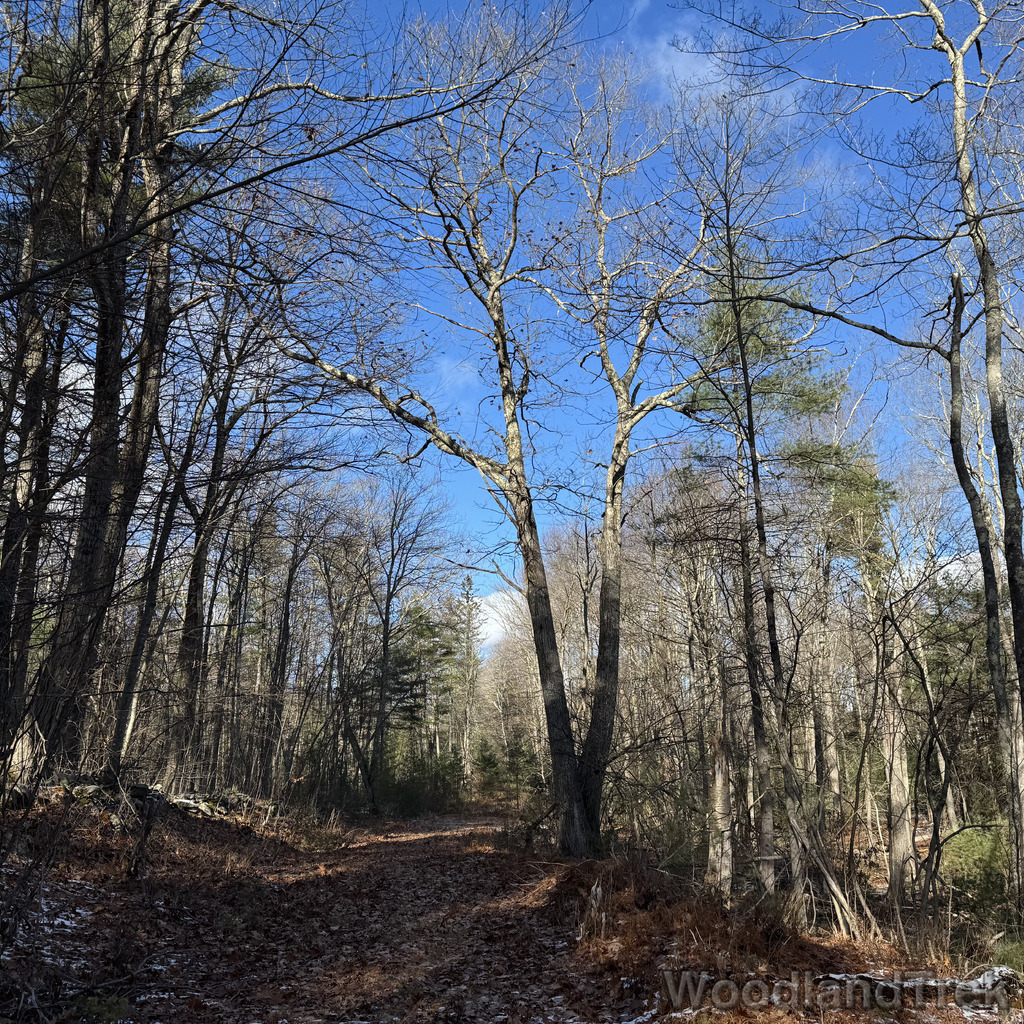 2025-11-29_120604_00