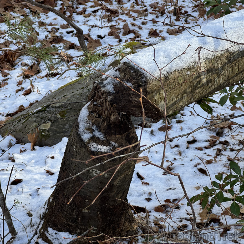 2025-11-29_120704_00