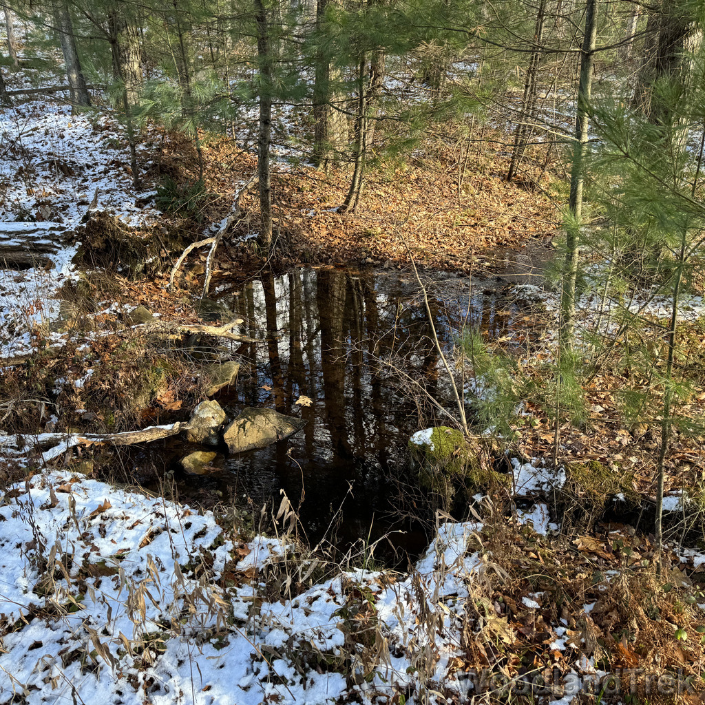 2025-11-29_120900_00