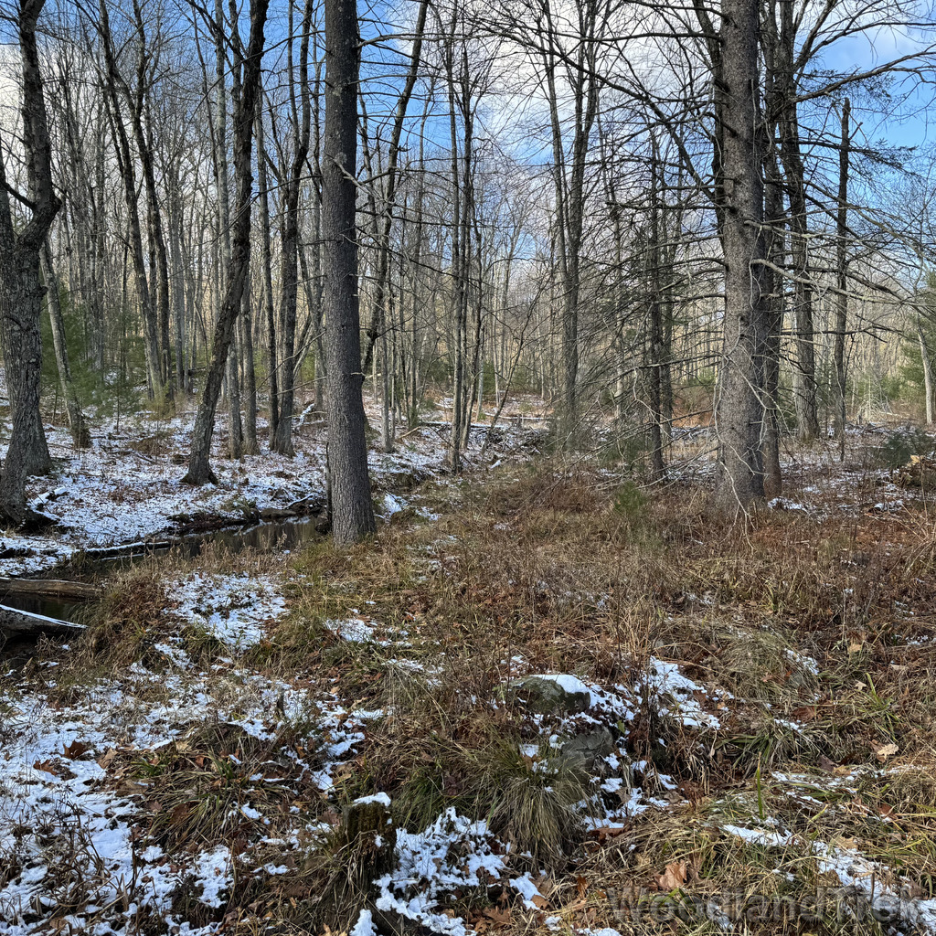 2025-11-29_120939_00