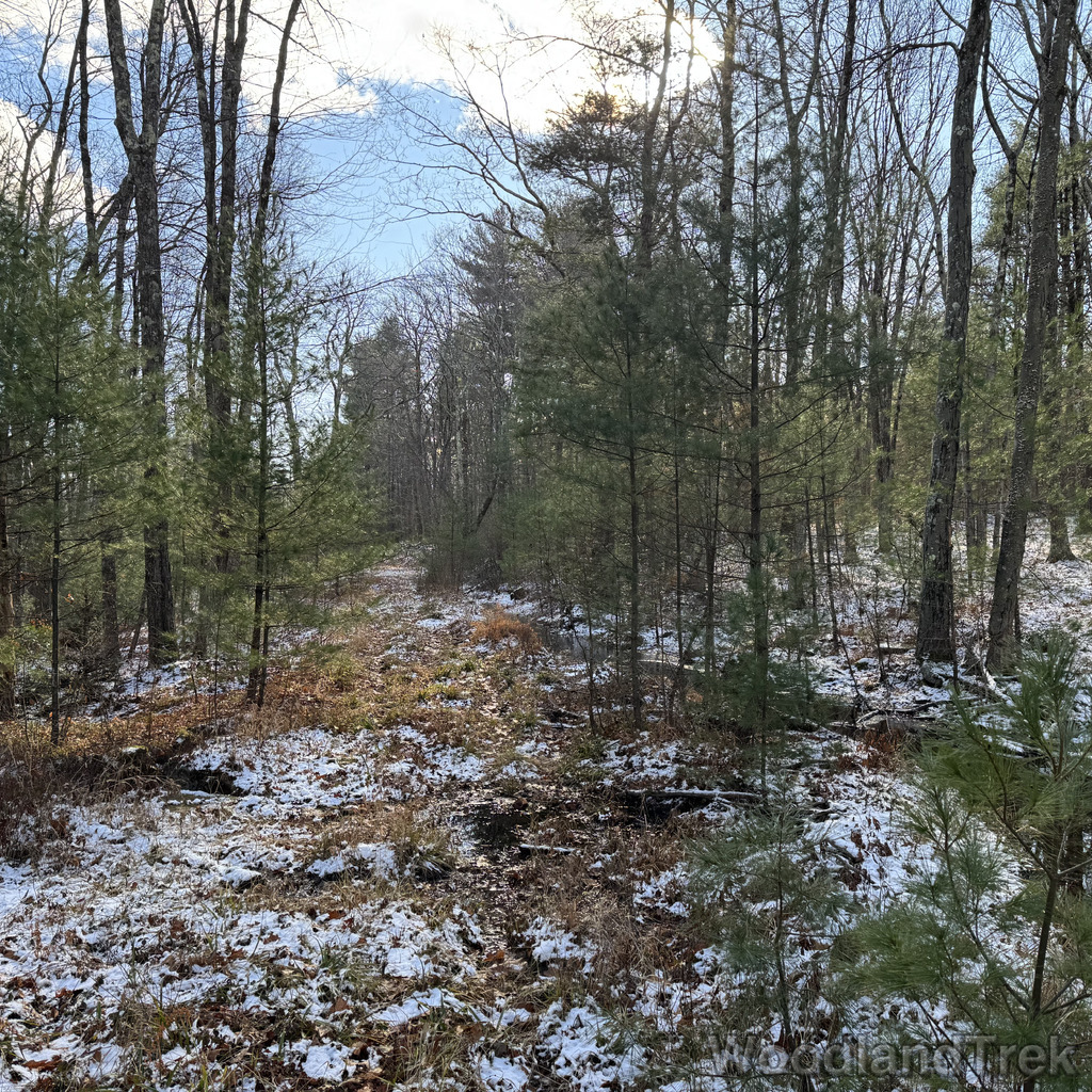 2025-11-29_120944_00