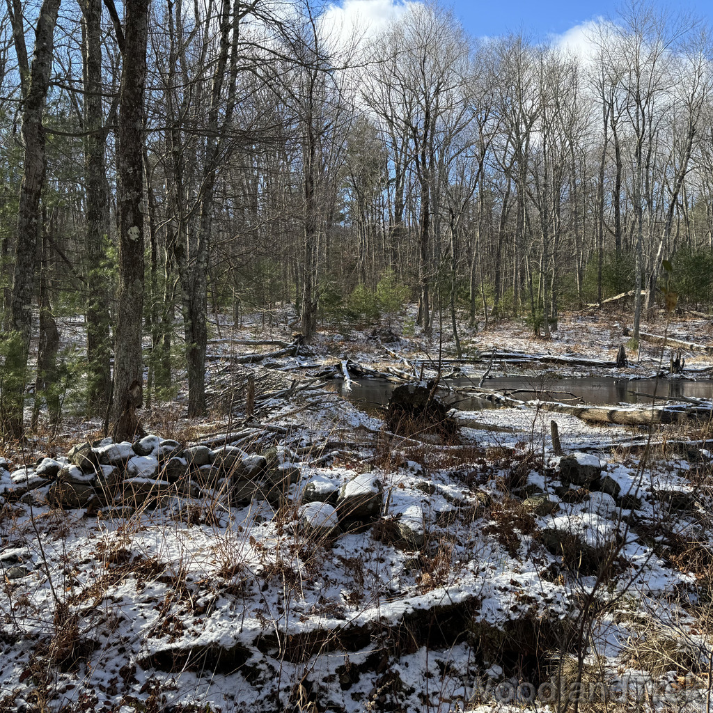 2025-11-29_121040_00