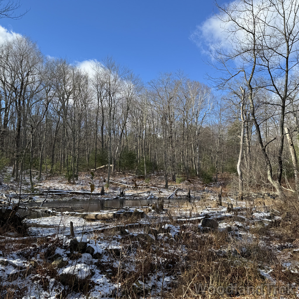 2025-11-29_121043_00