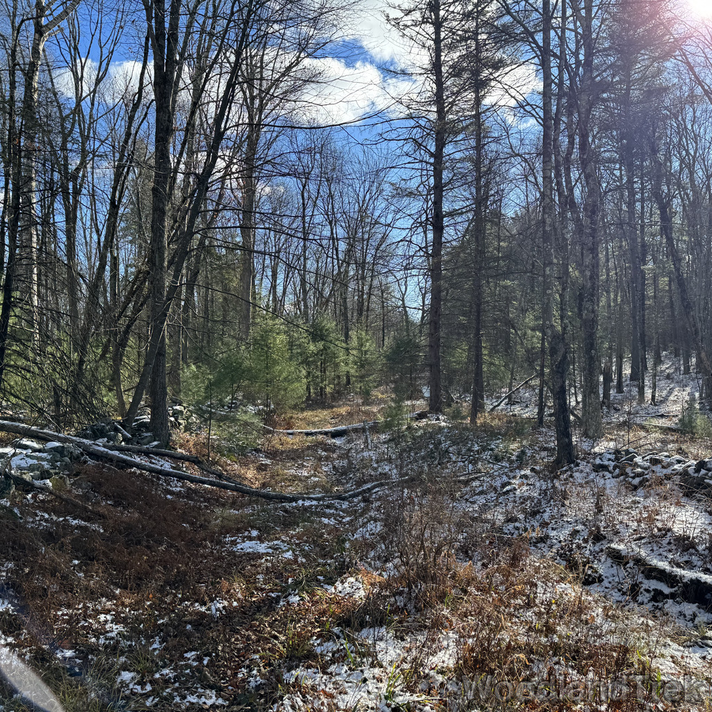 2025-11-29_121117_00