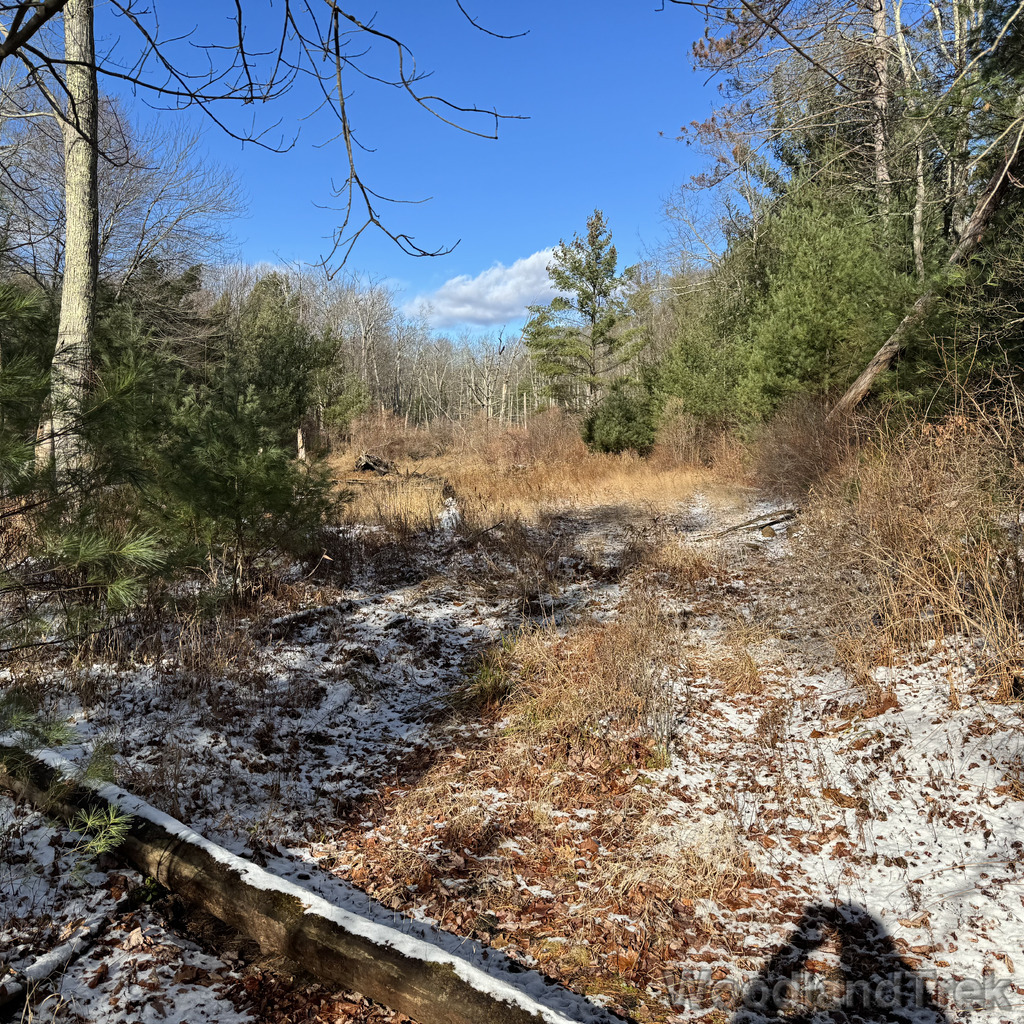 2025-11-29_121320_00