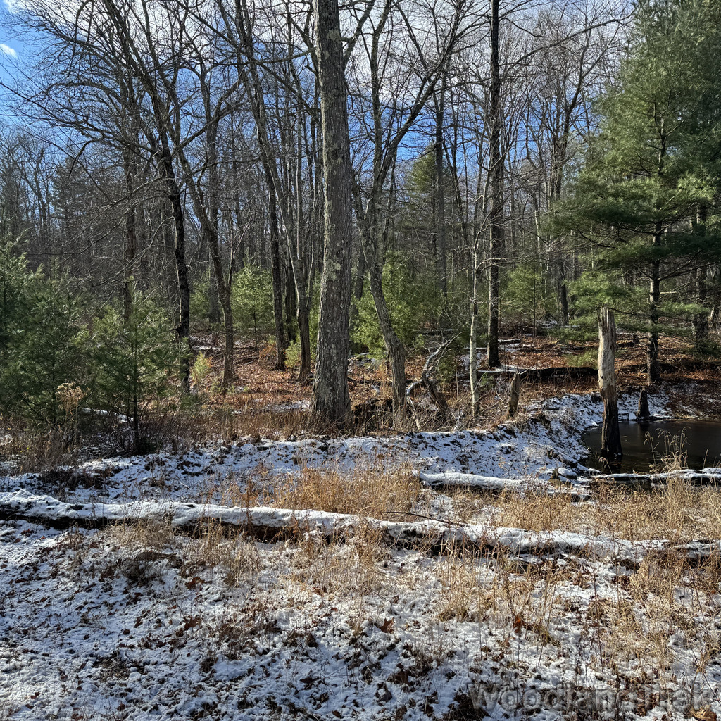 2025-11-29_121355_00