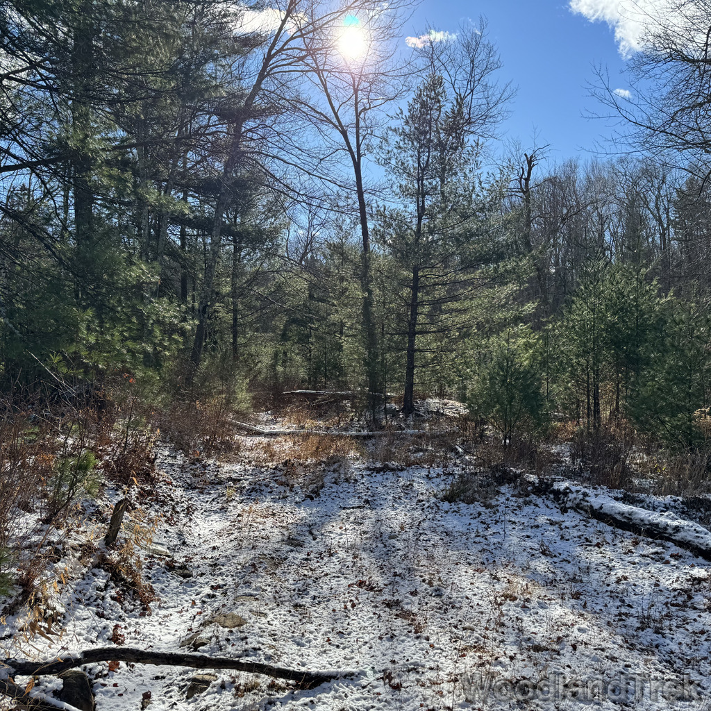 2025-11-29_121359_00