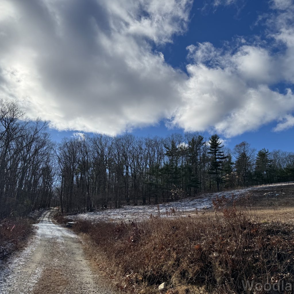 2025-11-29_123233_00