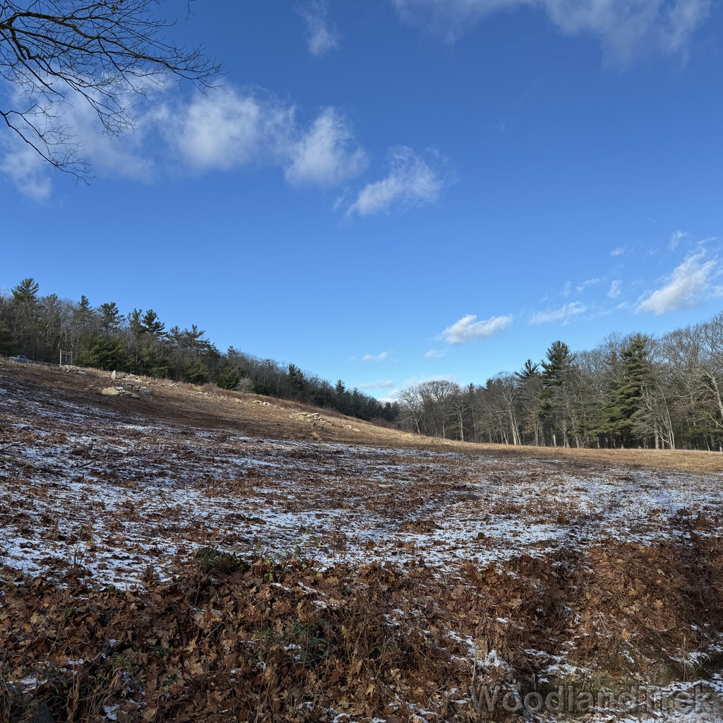 2025-11-29_123359_00